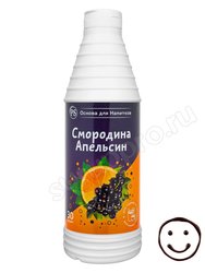 ProffSyrup Смородина-Апельсин основа для напитков 1 кг
