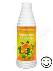ProffSyrup Крыжовник-Апельсин основа для напитков 1 кг