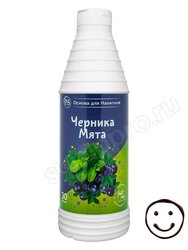 ProffSyrup Черника-Мята основа для напитков 1 кг