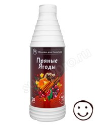 ProffSyrup Пряные Ягоды Основа для напитков 1 кг