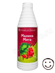 ProffSyrup Малина-Мята основа для напитков 1 кг