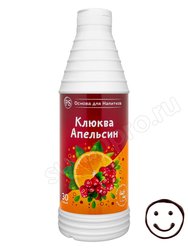 ProffSyrup Клюква-Апельсин основа для напитков 1 кг