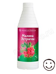 ProffSyrup Малина-Эстрагон Основа для напитков 1 кг