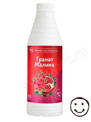 ProffSyrup Гранат-Малина Основа для напитков 1 кг