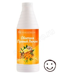 ProffSyrup Облепиха-Пряный Лимон Основа для напитков 1 кг